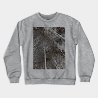 treetops Crewneck Sweatshirt